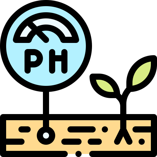Ph meter